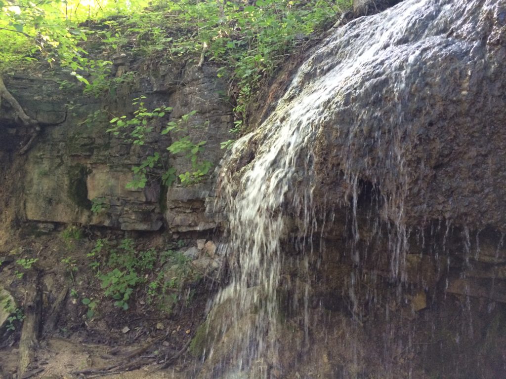 Breakfast at Englewood Metropark