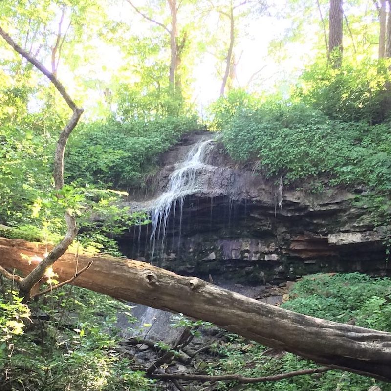 Breakfast at Englewood Metropark