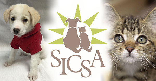 Featured image for 3 Things to Know about SICSA