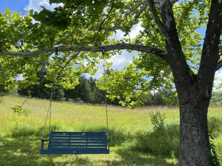 Swing at Cedar Ridge farm