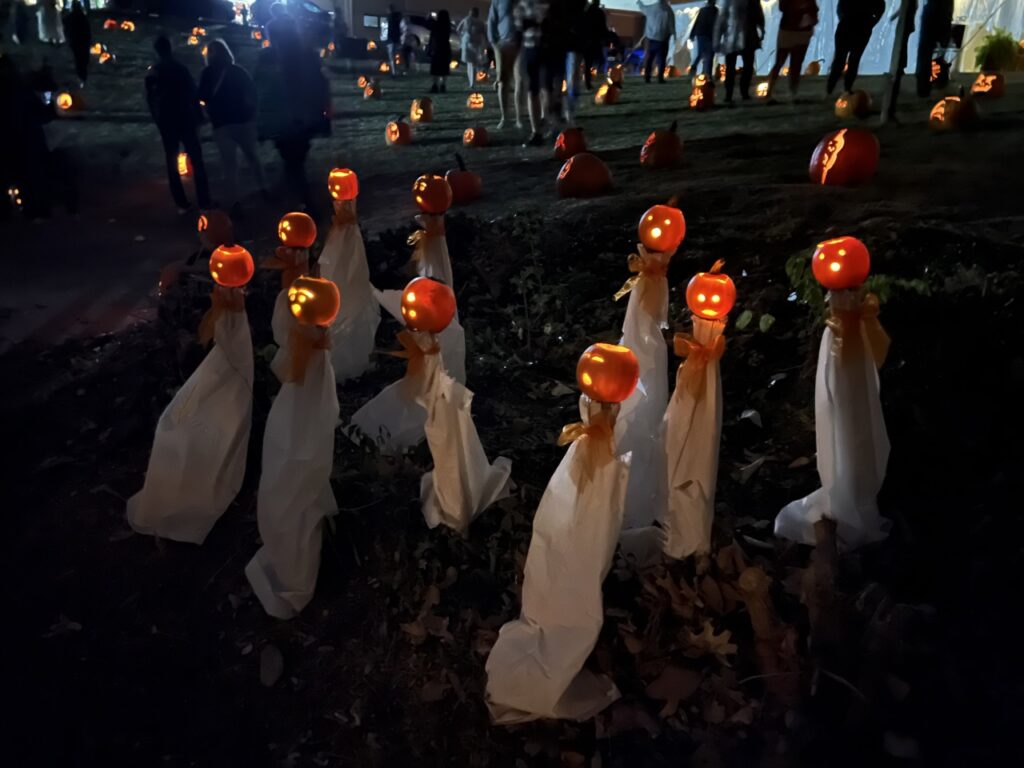 Stoddard Avenue Pumpkin Glow