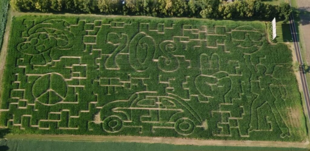 Irons Farm corn maze