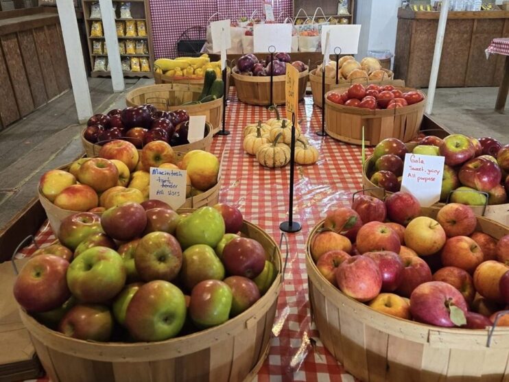 Irons apples on table